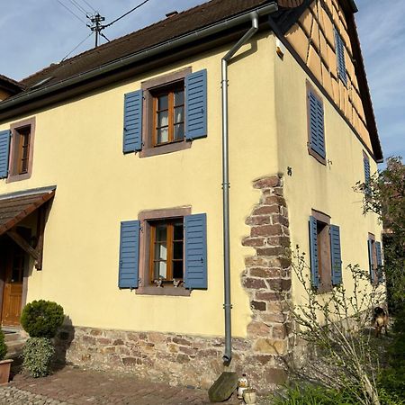 Gite La Maison De Jules Muntzenheim Buitenkant foto