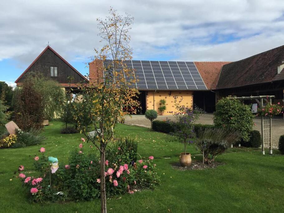 Gite La Maison De Jules Muntzenheim Buitenkant foto
