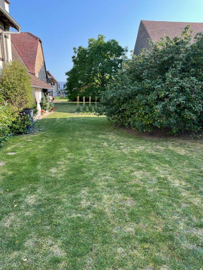 Gite La Maison De Jules Muntzenheim Buitenkant foto